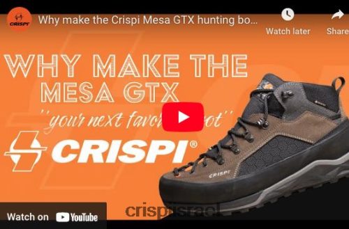 Crispi מגפיים mesa gtx V0VV62 חום